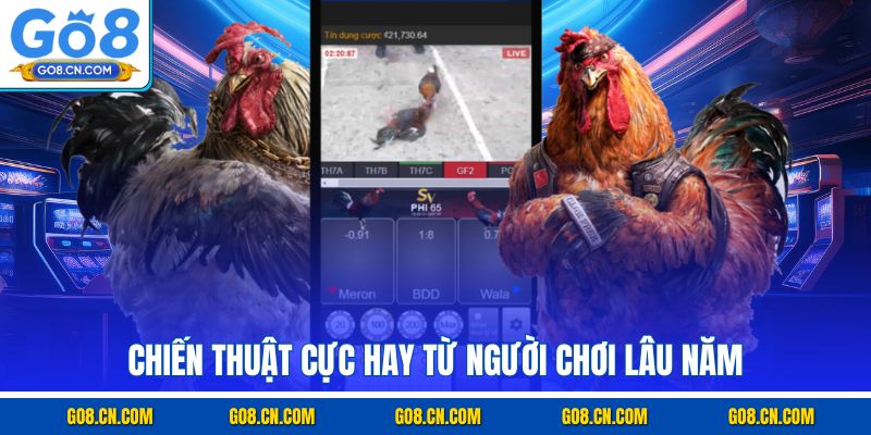 Chiến thuật cực hay từ người chơi lâu năm
